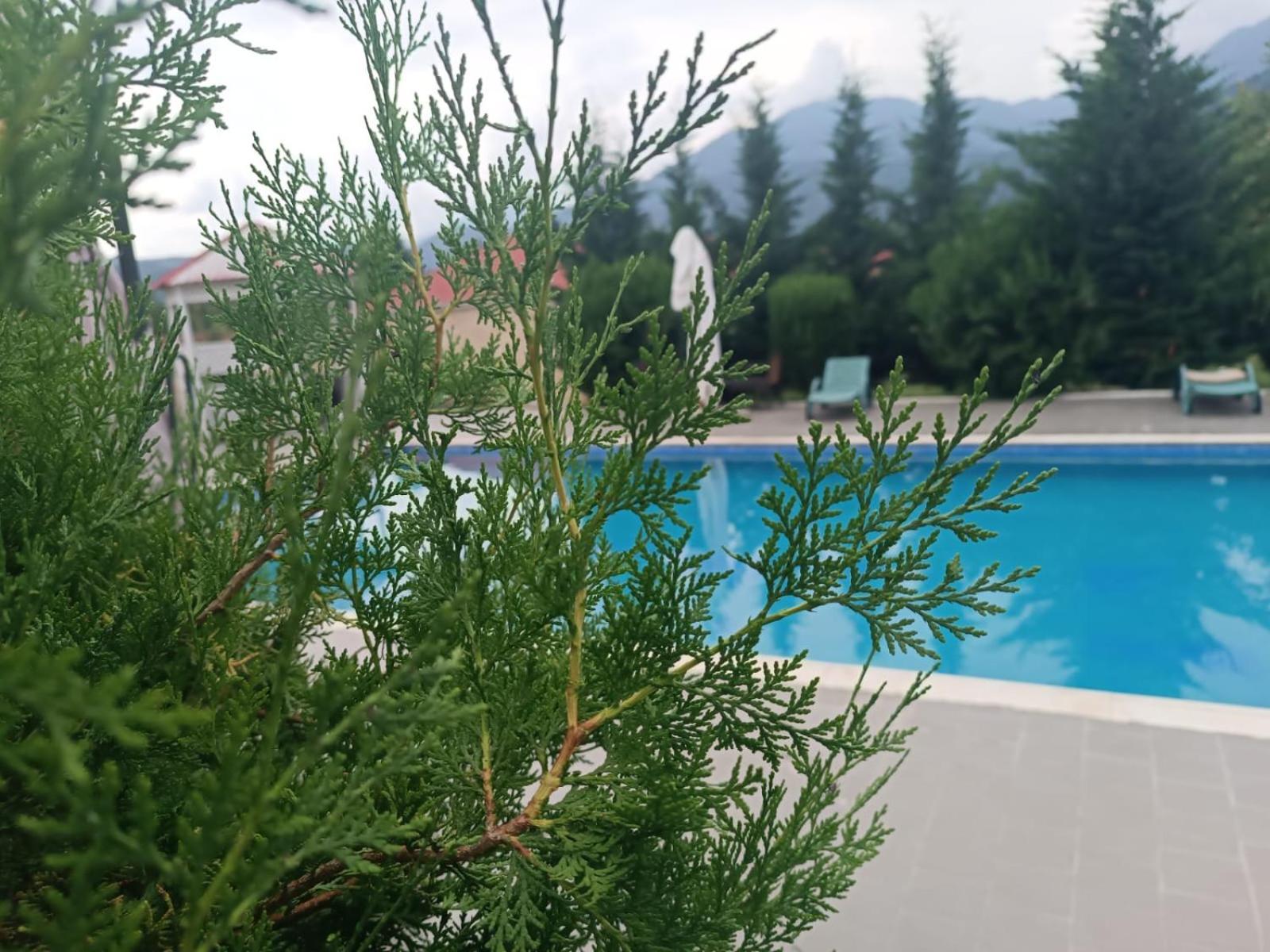 Gabala Bliss Inn Hotel And Restaurant Exterior foto
