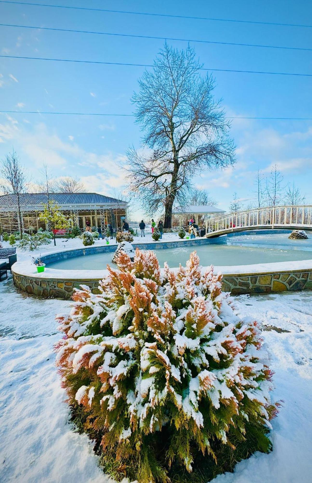 Gabala Bliss Inn Hotel And Restaurant Exterior foto