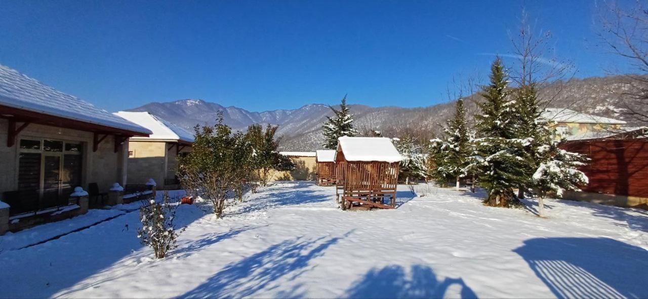 Gabala Bliss Inn Hotel And Restaurant Exterior foto